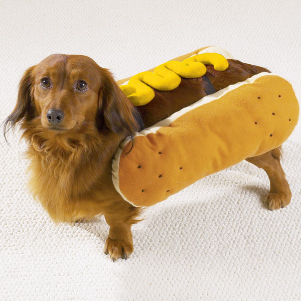 Hotdog-Halloween-Costume.jpg